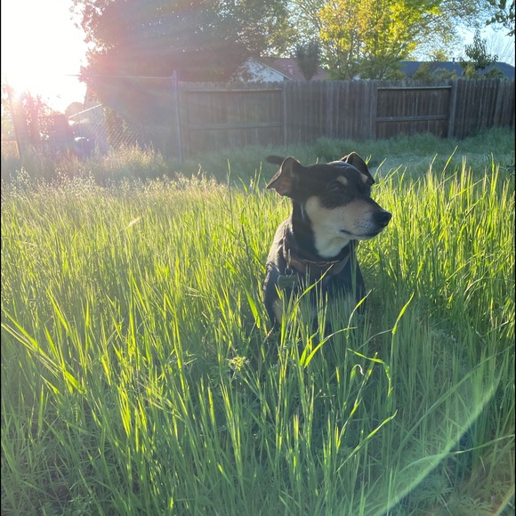 Meet your Posher, Gladys - Picture 2 of 4